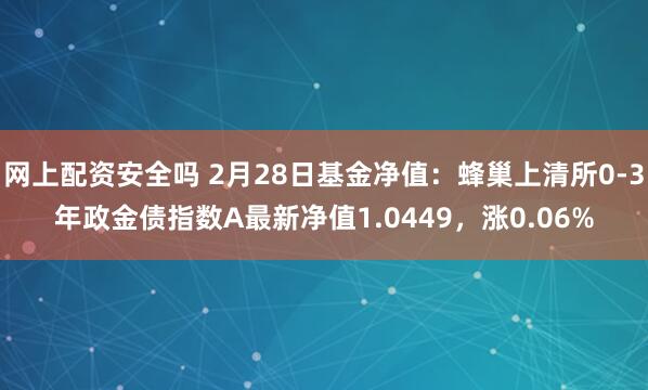 网上配资安全吗 2月28日基金净值：蜂巢上清所0-3年政金债指数A最新净值1.0449，涨0.06%