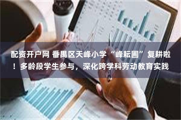 配资开户网 番禺区天峰小学 “峰耘圃” 复耕啦！多龄段学生参与，深化跨学科劳动教育实践