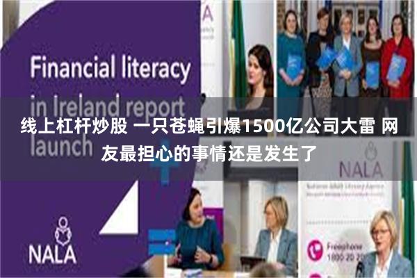 线上杠杆炒股 一只苍蝇引爆1500亿公司大雷 网友最担心的事情还是发生了