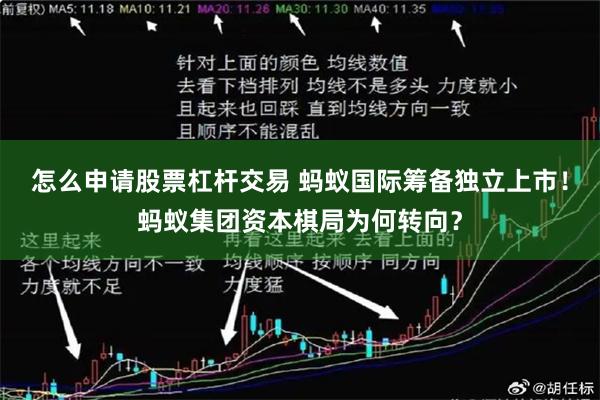 怎么申请股票杠杆交易 蚂蚁国际筹备独立上市！蚂蚁集团资本棋局为何转向？