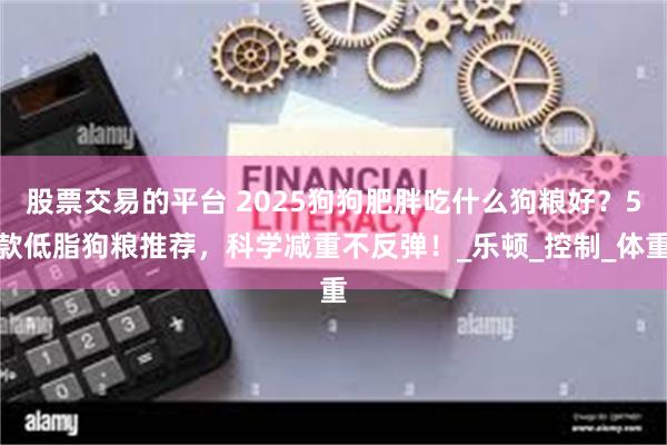 股票交易的平台 2025狗狗肥胖吃什么狗粮好？5款低脂狗粮推荐，科学减重不反弹！_乐顿_控制_体重