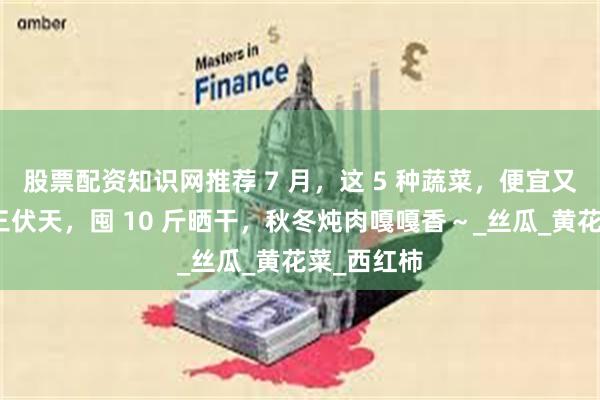 股票配资知识网推荐 7 月，这 5 种蔬菜，便宜又新鲜，趁三伏天，囤 10 斤晒干，秋冬炖肉嘎嘎香～_丝瓜_黄花菜_西红柿