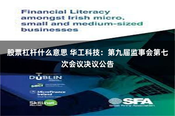 股票杠杆什么意思 华工科技：第九届监事会第七次会议决议公告